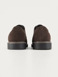 BLUCHER PICADO MARRÓN-Alvaro Moreno Outlet