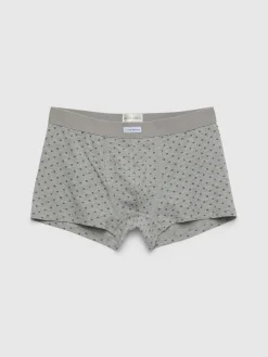 BOXER GRAIN-Alvaro Moreno Hot