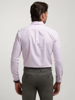 CAMISA OXFORD RAYAS-Alvaro Moreno Best