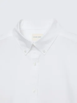 CAMISA OXFORD SOLID-Alvaro Moreno New