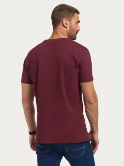 CAMISETA BASICA-Alvaro Moreno Sale