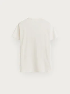 CAMISETA BASICA-Alvaro Moreno Online