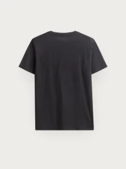 CAMISETA BASICA-Alvaro Moreno