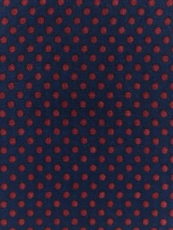 FOULARD PRINT-Alvaro Moreno Best