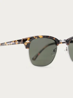 GAFAS MASTER MARRÓN-Alvaro Moreno Sale