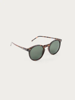 GAFAS ROUNDER MARRÓN-Alvaro Moreno Sale
