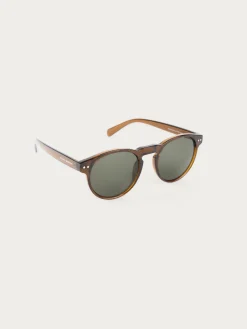 GAFAS TORINO MARRÓN-Alvaro Moreno Best