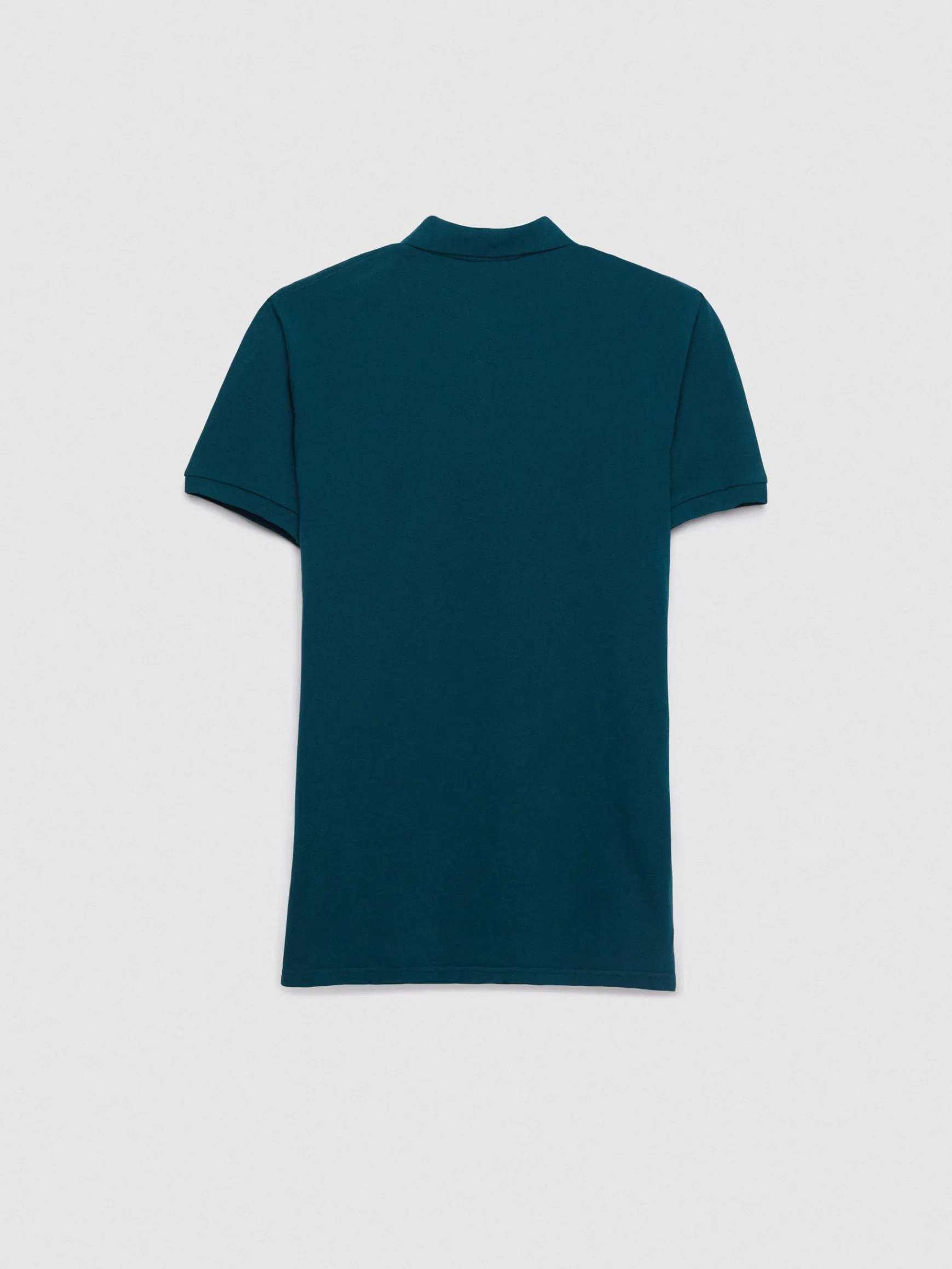 POLO BASIC-Alvaro Moreno Online