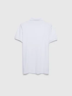 POLO BASIC-Alvaro Moreno Online