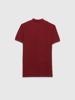 POLO BASIC-Alvaro Moreno Discount