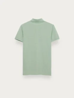 POLO SCOOBY-Alvaro Moreno Online