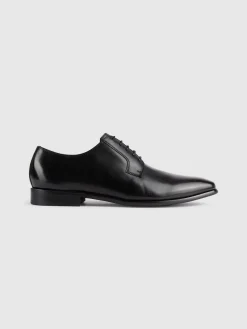 ZAPATO OXFORD-Alvaro Moreno